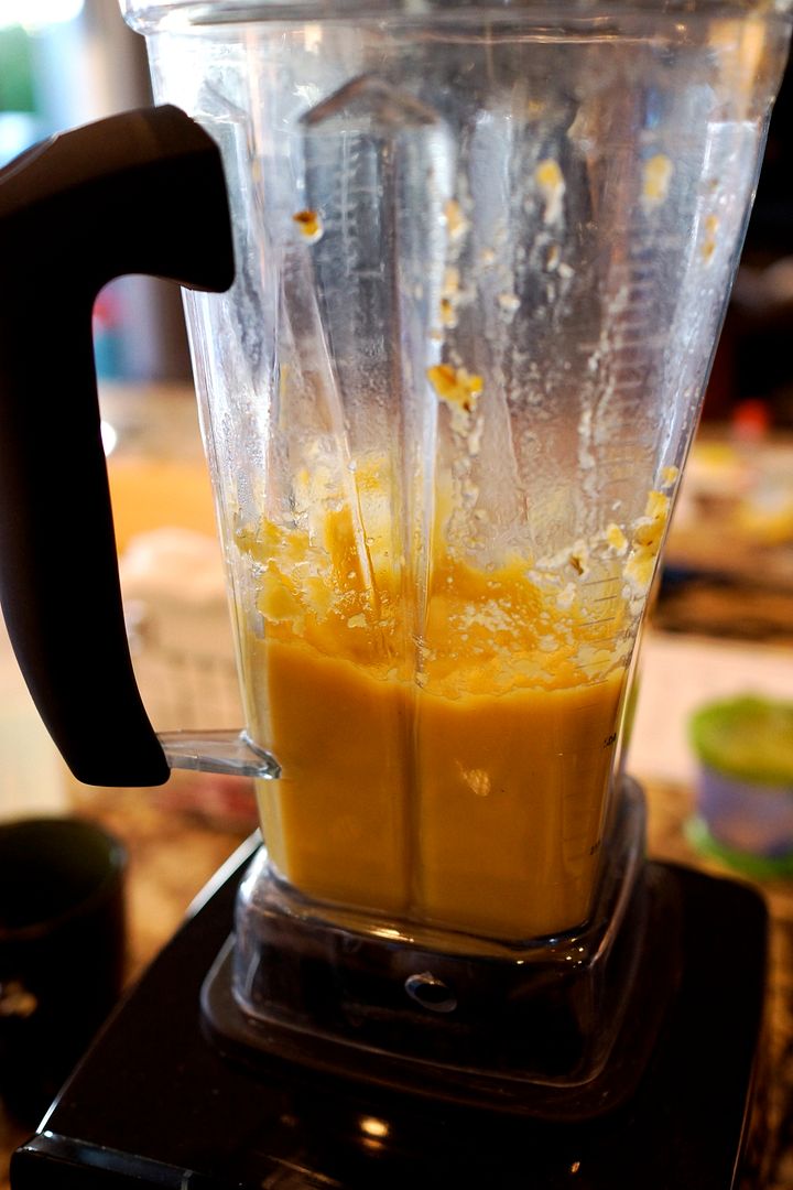 Anne's Odds and Ends Mashed Cauliflower sidedish in the Vitamix!